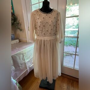 Dainty Jewels Embroidered Tulle Dress - Like New (Large)